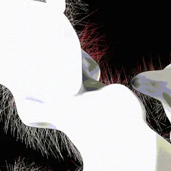 24956333727314601939583140656280832426414454120757961101380372847370623254529