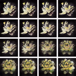 "Transition" Image 12: AsMW23xSc