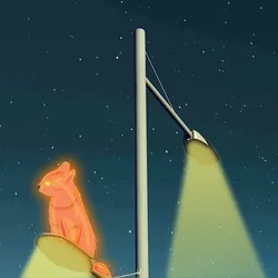 NP - 005