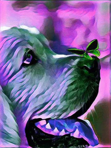 Item #70729836608453979500961524124175511851122340671922650182711656245996346671105 Media