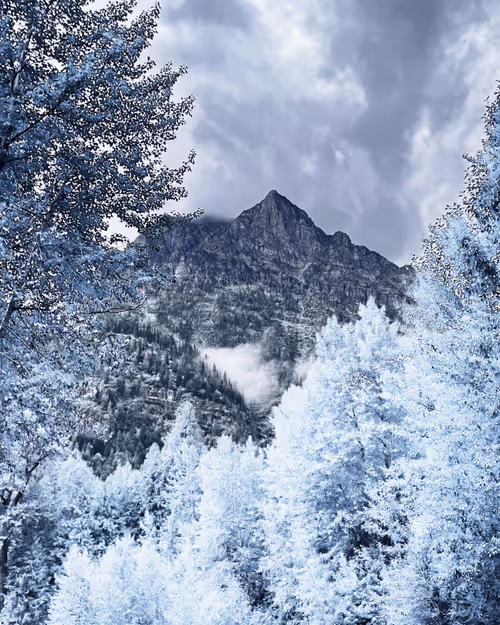 Item #62001089897654043678582796294711651900724303774679820814799839851065412419585 Media