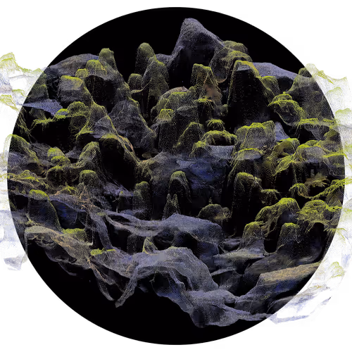 Item #3297889266964821186108216166808061648097153390725508810487041783890633031681 Media