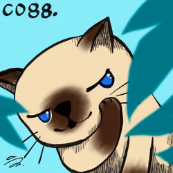 27688622860943754699875872734263554156348403042965680029660213608392601632769