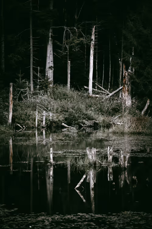 Item #46709965239587215851558087466762379659612403751449934923508460081406944477185 Media