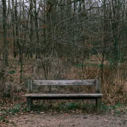 Sit back & relax