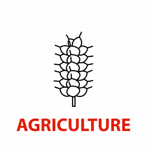 Item #84484640929577298491739762422853648584721934493634705153905291184467557220353 Media