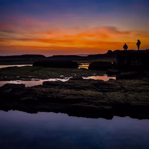 Untitled Collection #186438684