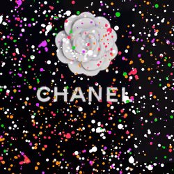 The CC Bag