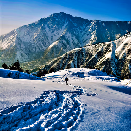 Snow Escape