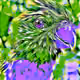 23284413659272752162434388431080802998371620300374384299557560029282622767105