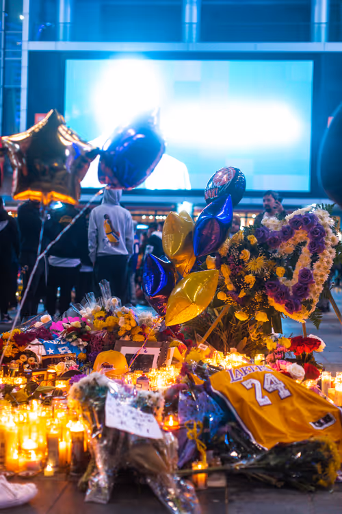 Item #13439362437370999140501138582598292618476795451252891238898507514060514263041 Media