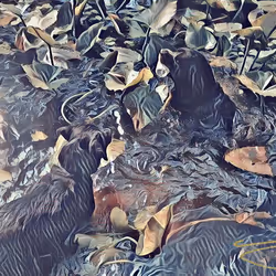 24515379016287833430110687259411372809394655166763807580583558329083633860609