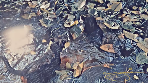 Item #24515379016287833430110687259411372809394655166763807580583558329083633860609 Media