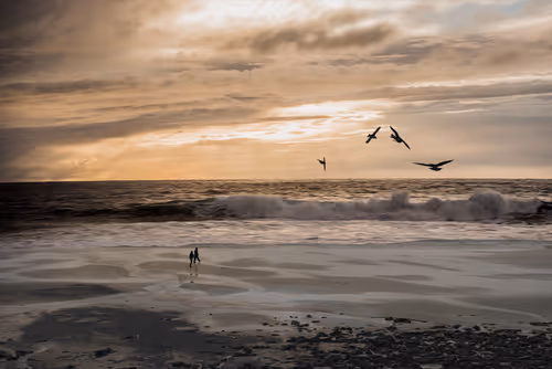 Item #94302163411569095589289123968041002973019814470584416299482263149414008750081 Media