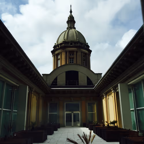 foxys2716 Collection