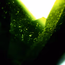 71646257518770613568983710813551014237803002136866425209291834472695796334593