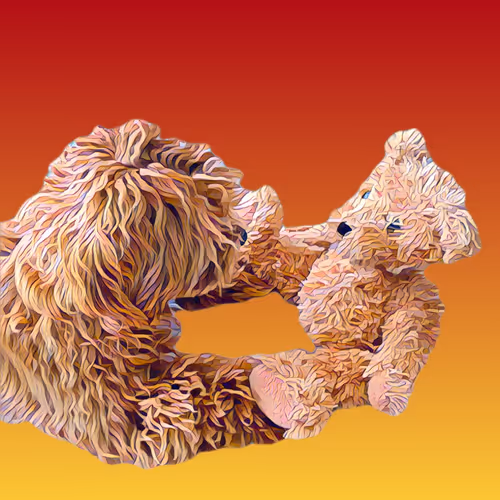 Metaversemaltipoo