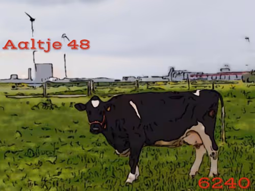 Item #106168068867162485094593885732241547229015412580842941571810197531850715430913 Media