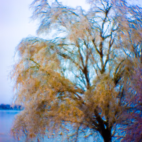 Item #35965218379738729691291467168286792303482134167127854404987491642760482521089 Media