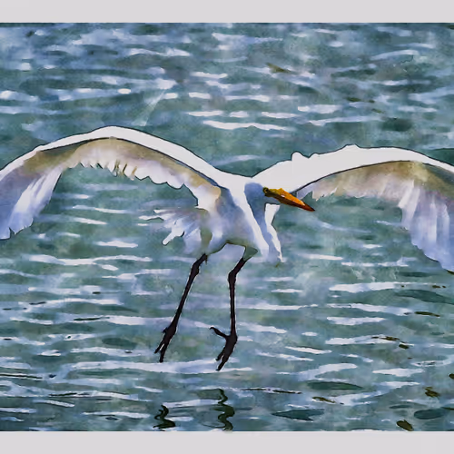 55704534837685659622621715309832868758345944585427688586690141438853599199233