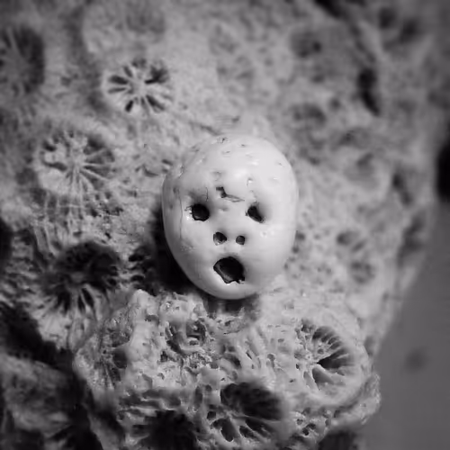 Item #81941951860752634106901471197417024290092758316206591328720189760415171870721 Media