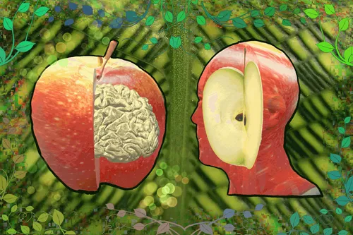 Item #69046647551876631812407603757465421868469504969916764237364829699823865167873 Media