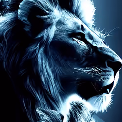 MUFASA