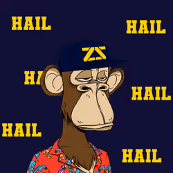 Zak Zinter #8