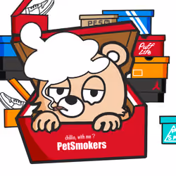 PetSmokers#sneaker box