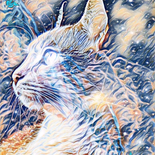 56114814756646127397705002134489221206320113324181291230627375190913855782913