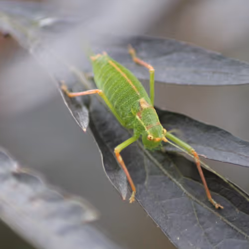 51124555051901614330264480006545612592022390906904121289505624553612631867393