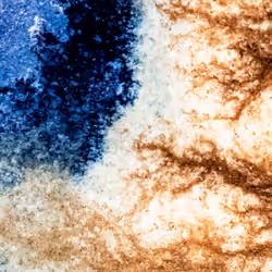 Cyanotype – Cosmos – 5% - #2
