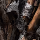 Whitton - The Elements Collection - 48 1/1 NFTs
