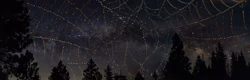 Item #70450387093937808937088555529822133981601005505803557145566361227277579059201 Media