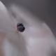 40278163781146387807919824223492945877750948775305722317404597064667932655617