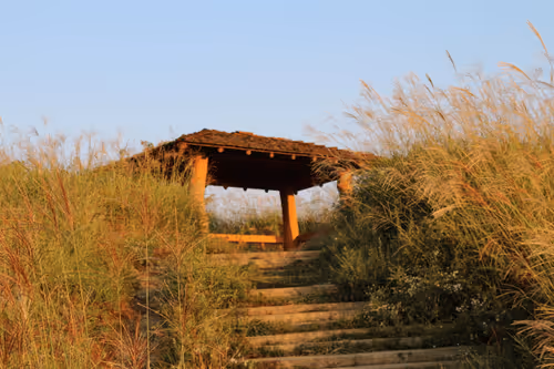 Untitled Collection #7577652