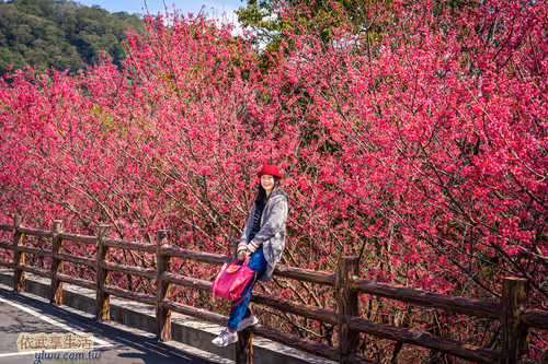 Item #100744422725674417057824683306763013505668843176654858816283483923036420177921 Media