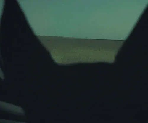 MadTrees Collection - old V2