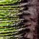 65713237843627769650994744362241463628237995228586351263197250006879477694465