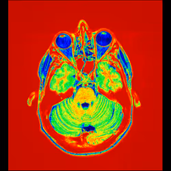 64162533542198579898252916190583583845604629893829087458582976086641110679553