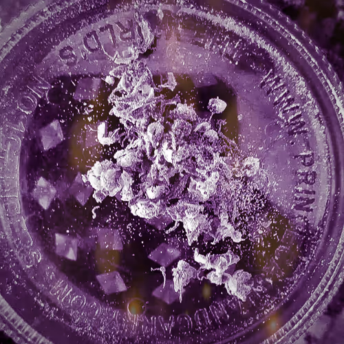 Untitled Collection #9869101