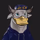 BullDuck Collection - old