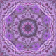 78066413330020932073278311562989045755903624498084783552744910686368854704129