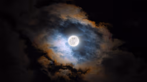 Item #52635344672284344927127524699842754890173282704640420392144903482795504959489 Media