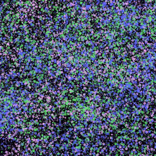 944858660688572096584618472555991747686703840338442188877309620351710265345