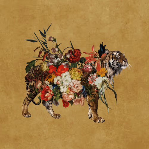 Item #19059656102330521028979974538211481296482323844077477318954795415951227486209 Media