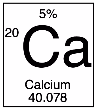 Item #5661453840234089183517174433164630646637129767914609504765586397203940771062 Media