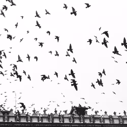 In Between Time
