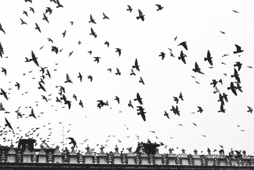 In Between Time
