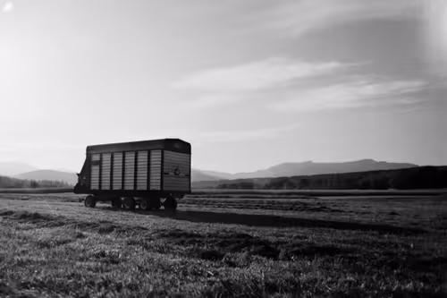 Item #89941232778001750328506202781150262804978379678405675417554418849789476077569 Media